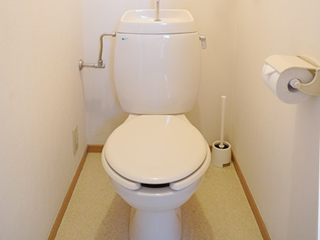 separate toilet room